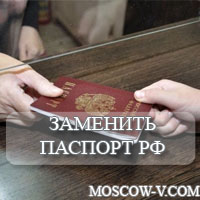 Консультация и помощь в подаче документов: замена паспорта РФ, получение заграничного паспорта, виз, справки о несудимости.